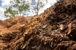 One of our forest mulch piles currently being aged on our lot.