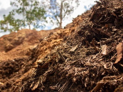One of our forest mulch piles currently being aged on our lot.