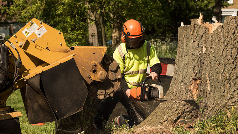Stump Grinding